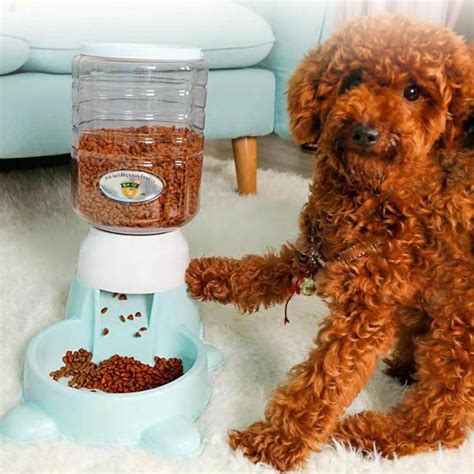 Feed Your Furry Friend With Ease Top 10 Pvc Dog Food Dispensers