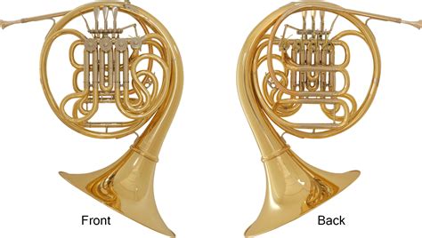 The Structure Of The Hornthe Structure Of The Horn Musical