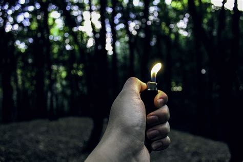 Forest, Hand, Forest, Lighter, Fire, Nature #forest, #hand, #forest, #lighter, #fire, #nature ...