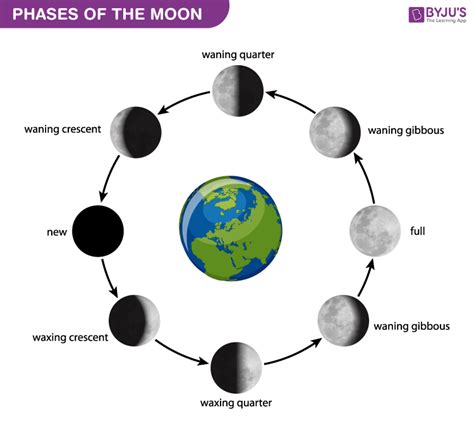 Aggregate More Than 80 Phases Of Moon Sketch Latest Vn