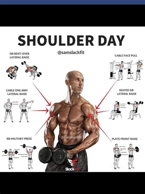 Shoulder Workout Gym Exercises For Weight Loss Fitness And Workout