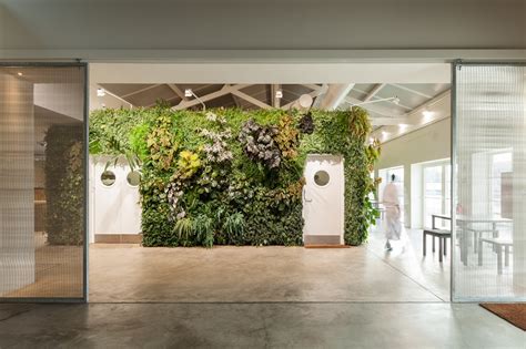 Photo 7 Of 10 In Living Green Walls 101 Their Benefits And How Theyre