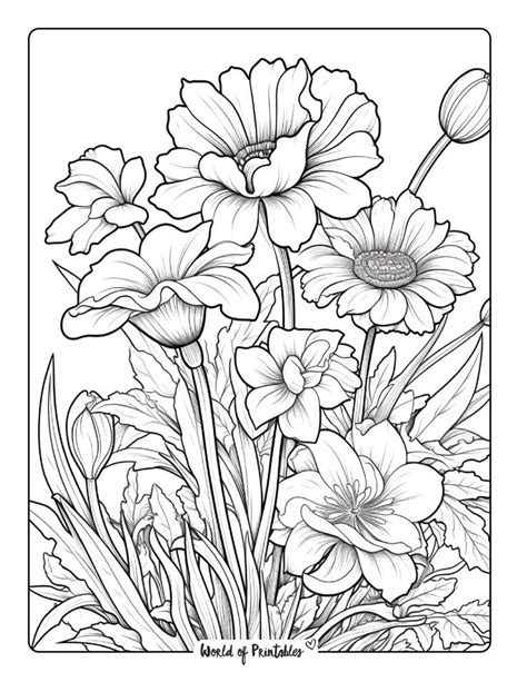 Flower Coloring Sheets Free Printable Flower Coloring Sheets