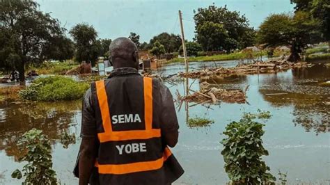 Yobe Flooding Sacks 31 000 Families Displaces 6 592 Communities