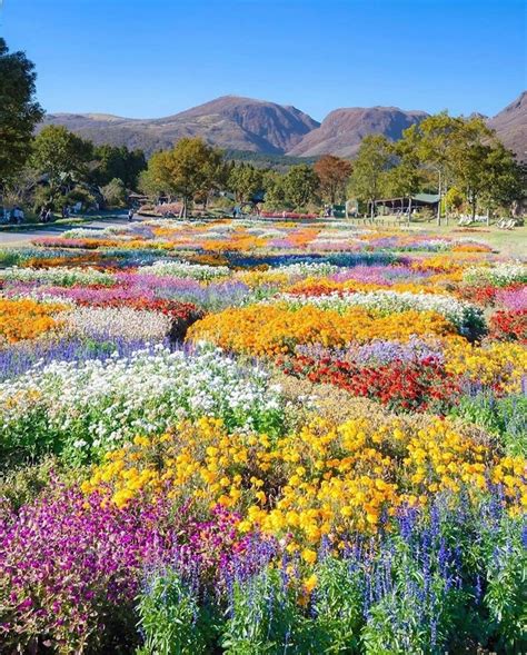 This Japan Park Is Overflowing With Rainbow Flower Fields Amidst