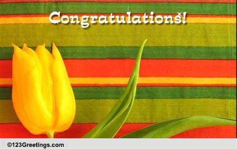 Many Congratulations Free For Everyone Ecards Greeting Cards 123