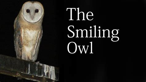 The Smiling Owl By Justin Suttles Youtube