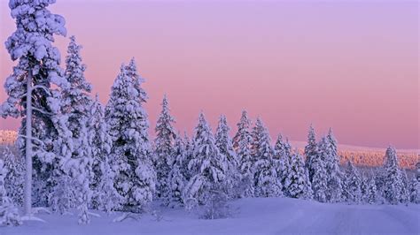 Pretty Winter Backgrounds 51 Images