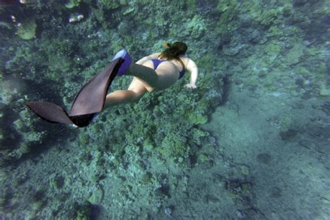 Snorkelling With Manta Rays The Vacation Gateway