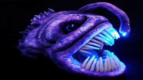 Top 10 Creepy Deep Sea Creatures Recently Discovered Youtube