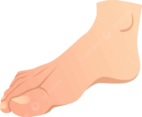 Realistic Human Foot Feet Icon Element Vector Feet Icon Element Png And Vector With