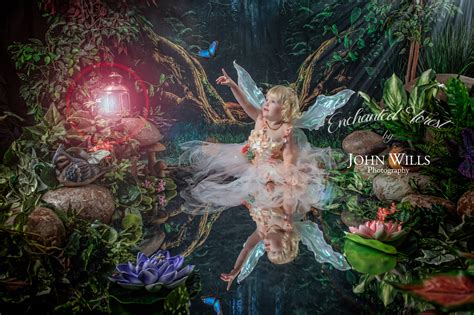 Fairy Photo Shoots Guelph Kitchener Area Magical Childrens Portraits