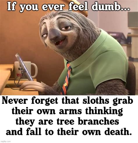Zootopia Sloth Memes Imgflip