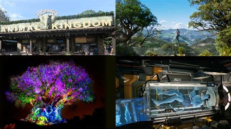 Animal Kingdom Christmas + Flight of the Avatar FULL RIDE ...