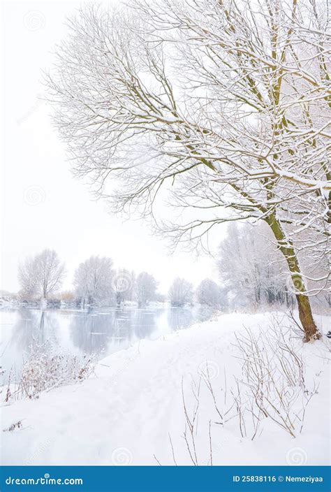 Frozen River Stock Photo Image Of Bright Snowbound 25838116