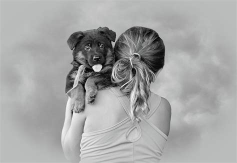 Young Girl And Puppy Photograph By Sandy Keeton Fine Art America