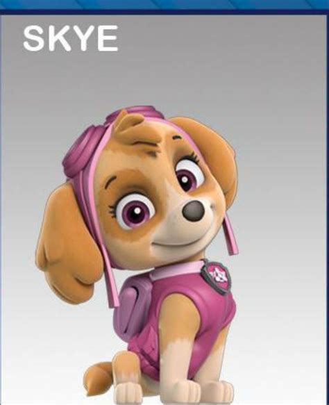 Paw Patrol Campus Life Meet Skye Wattpad