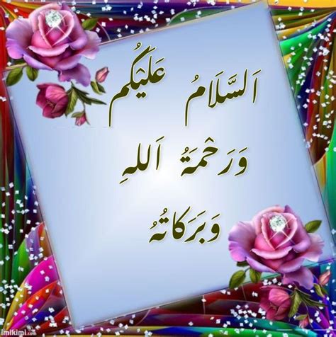 Hd to 4k quality images for free! Pin by Shireen Zahida on A0A in 2021 | Beautiful rose ...