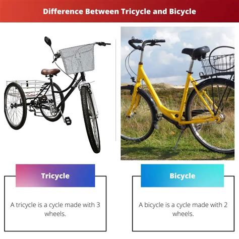 Tricycle Vs Vélo Différence Et Comparaison