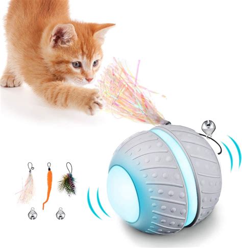 Focuspet Cat Interactive Toys For Indoor Cats Cat