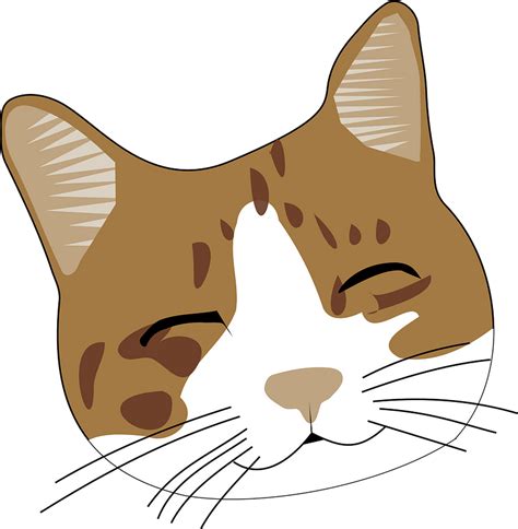 Happy Cat Face Clipart Free Download Transparent Png Creazilla