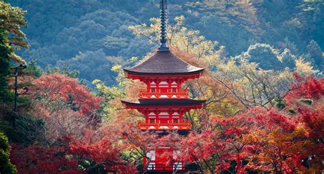 An Easy Kyoto 4 Day Itinerary For Autumn Or Any Season Spiritual