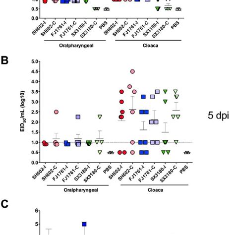 Only 160 isolates of the virus have been reported between the years 1978 to 2018, mostly in wild birds in asia and parts of north america. IFN-a, IFN-b, and IFN-g mRNA expression in the lungs, gut and bursa of... | Download Scientific ...