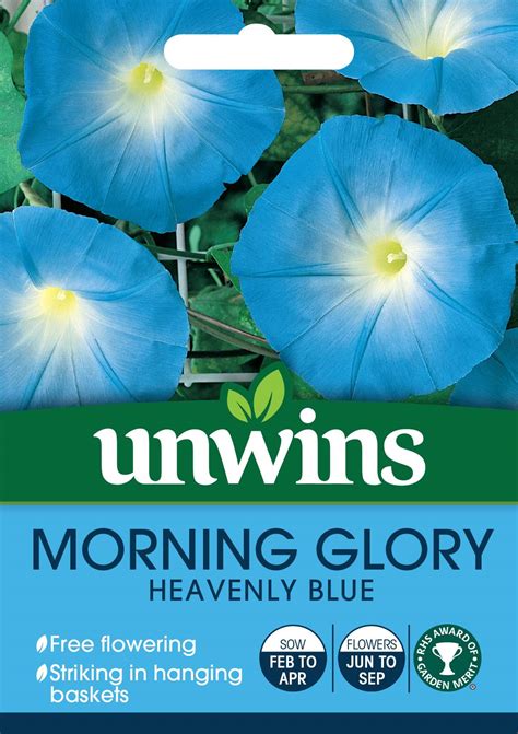 Morning Glory Heavenly Blue Flower Seeds Unwins Jacksons Nurseries