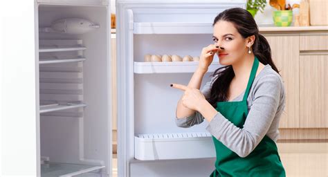 How To Clean A Refrigerator Kitchen Infinity