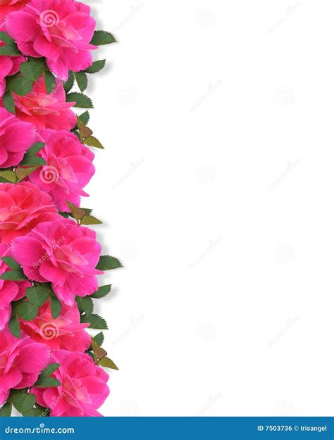 Pink Roses Border Background Royalty Free Stock Image Image 7503736