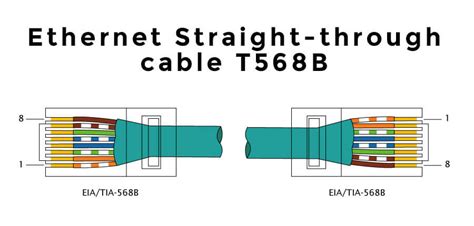 Put the wires in the wire pdf configuration diagram cat 5 network cable wiring cat 5 network cable wiring configuration diagram straightthru: How to make an Ethernet cable: Step by step tutorial - tiptunebd