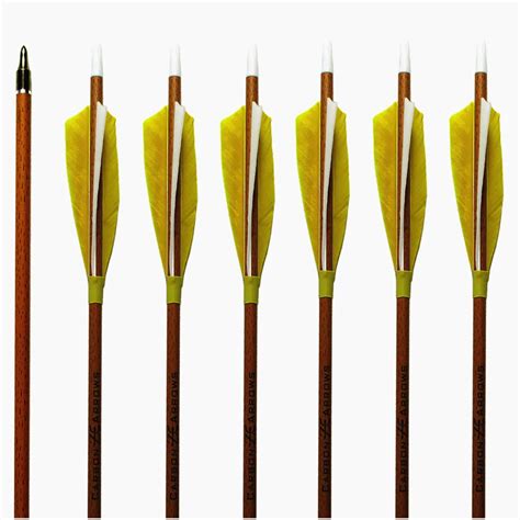 Archery Carbon Arrows 6 Pack Helical Feathers Wood Grain Cover Shaft