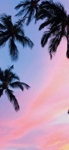 Palm Trees Sunset By Roberto Nickson 2160x3840 Sunset Iphone