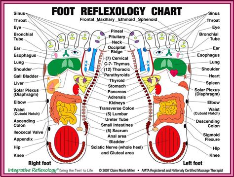 Foot Reflexology Chart Pictures Photos And Images For Facebook Tumblr Pinterest And Twitter