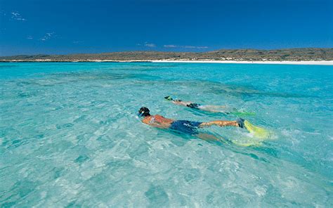 Ningaloo Reef The Best Snorkelling In Australia Apart From The Great