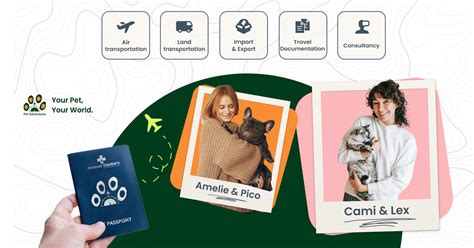 How it Works — Pet Adventures