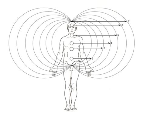 Acupuncture Meridians And The Vortices And Anti Vortices Of The Human