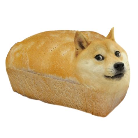 It Is The Bread Doge 3 With Images Doge Meme Doge Shiba Inu