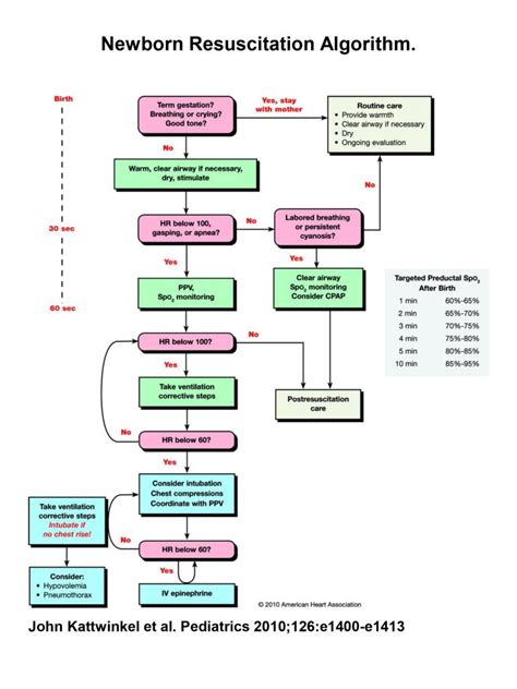 Neonatal Resuscitation Program Nrp Algorithm Overview