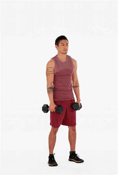Press Clean Shoulder Squat Exercises Workout Workouts