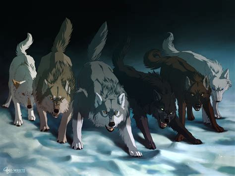 Tatsunoko productions (2) tezuka production (1) tms entertainment (12) tnk (4) toei animation (72) trigger (3) tyo animations (1) ufotable (8) white fox (9) wit. freebies | Anime wolf, Anime wolf drawing, Fantasy wolf
