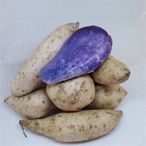Hawaiian Okinawan Purple Sweet Potatoes Ubi Yam 4 Pounds Etsy