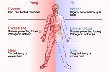 Yin Yang In Traditional Chinese Medicine Acupuncture And Massage