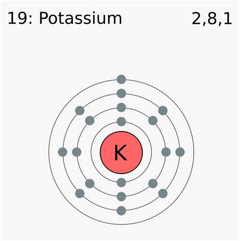 Valence Electrons Of Potassium Hd Png Download Kindpng