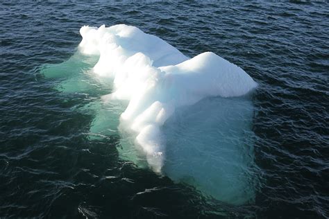 Olafur Eliasson Diplays Melting Blocks Of Glacial Ice In London To Draw