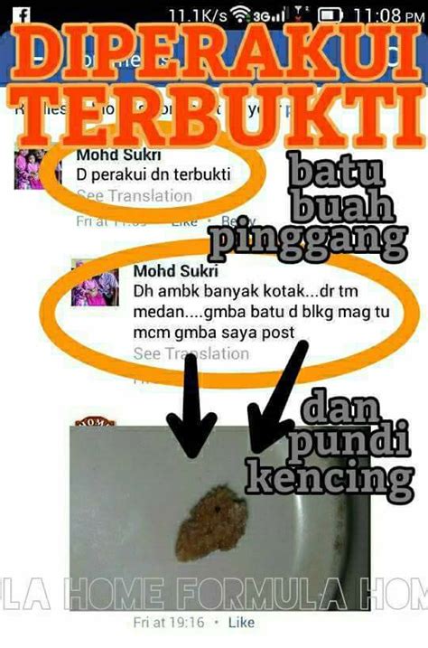 Find over 100+ of the best free drink images. Ubat batu karang Paling Berkesan | HomeFormula | Elixir ...