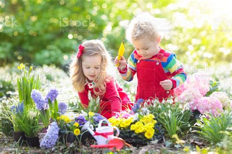 Kids Plant And Water Flowers In Spring Garden Stock Photo