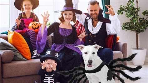 Los 8 Disfraces Más Divertidos De Halloween Para Mascotas Cnn