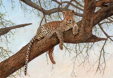 Leopard In Tree Painting By David Stribbling Pixels