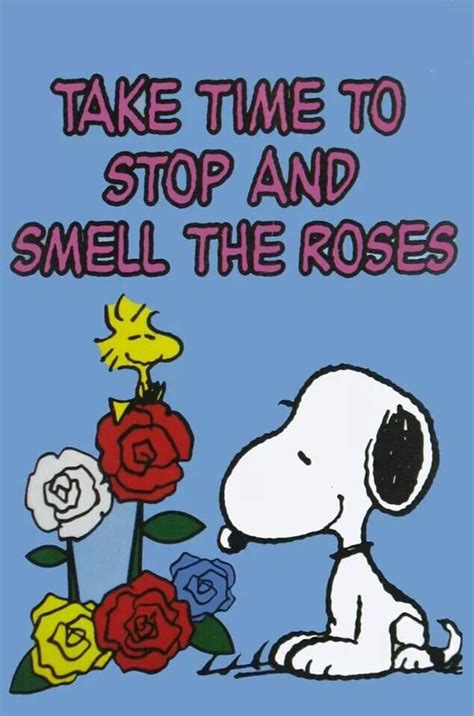 Stop And Smell The Roses Quotes Quotesgram